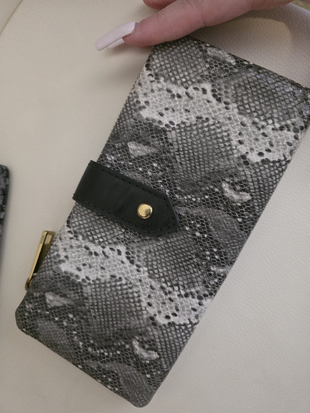 Fossil Snake Clutch